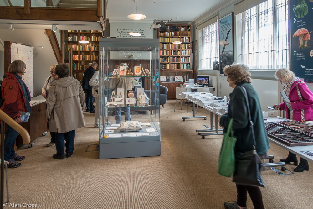 Downstairs exhibition space