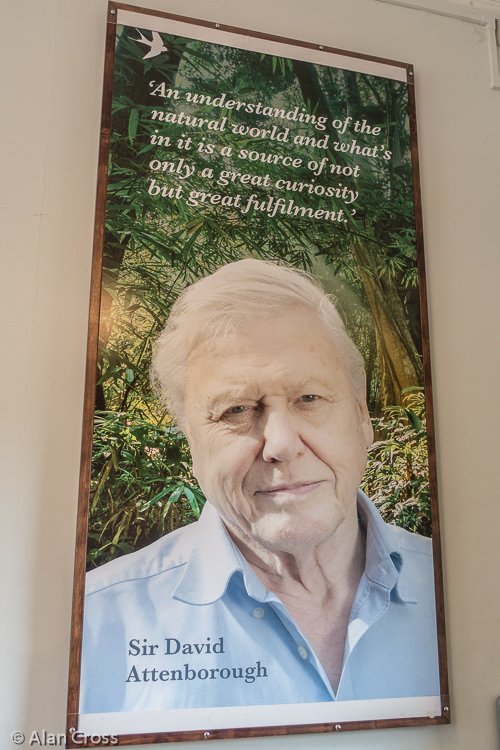 Sir David Attenborough recognised